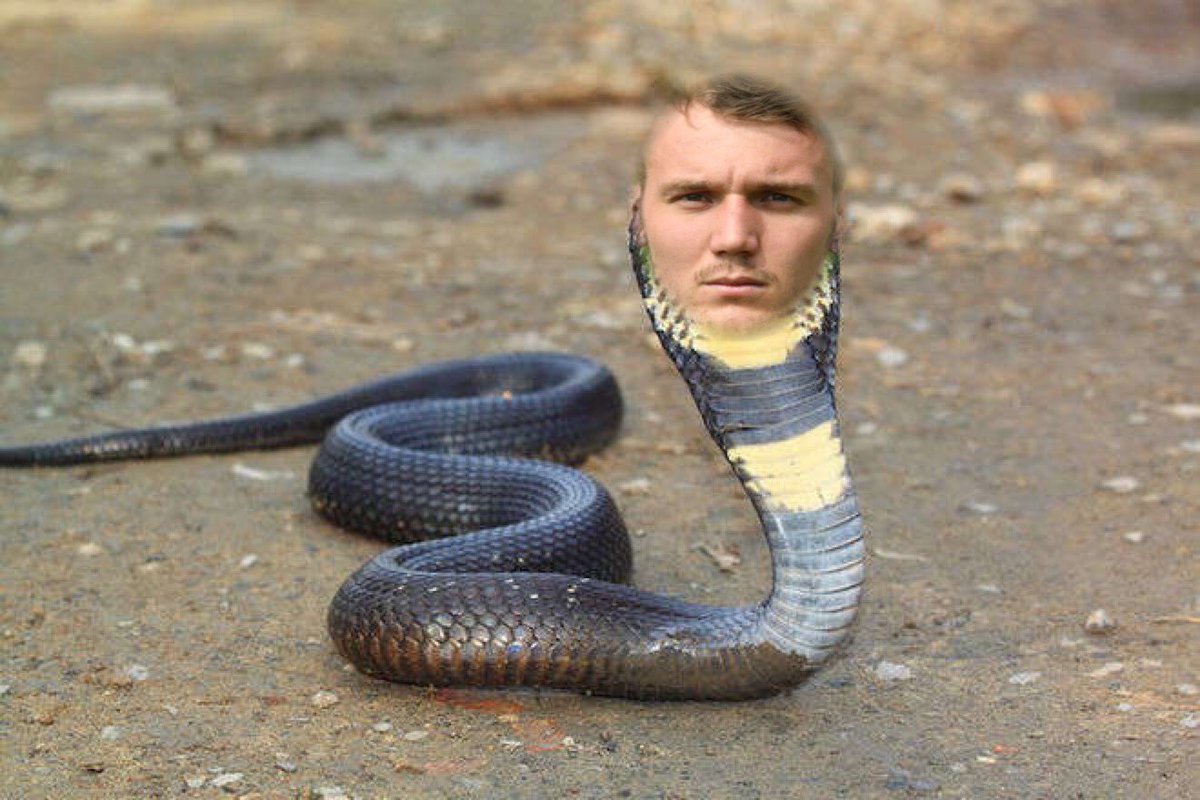 Rob Morley - Kevin Durant With Snake Head , HD Wallpaper & Backgrounds