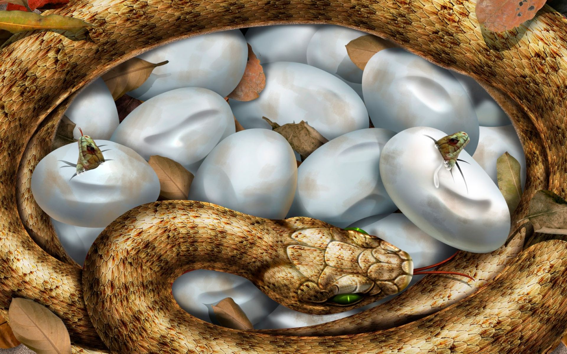 3d Snake And Her Eggs Wallpaper - Snake Hd , HD Wallpaper & Backgrounds