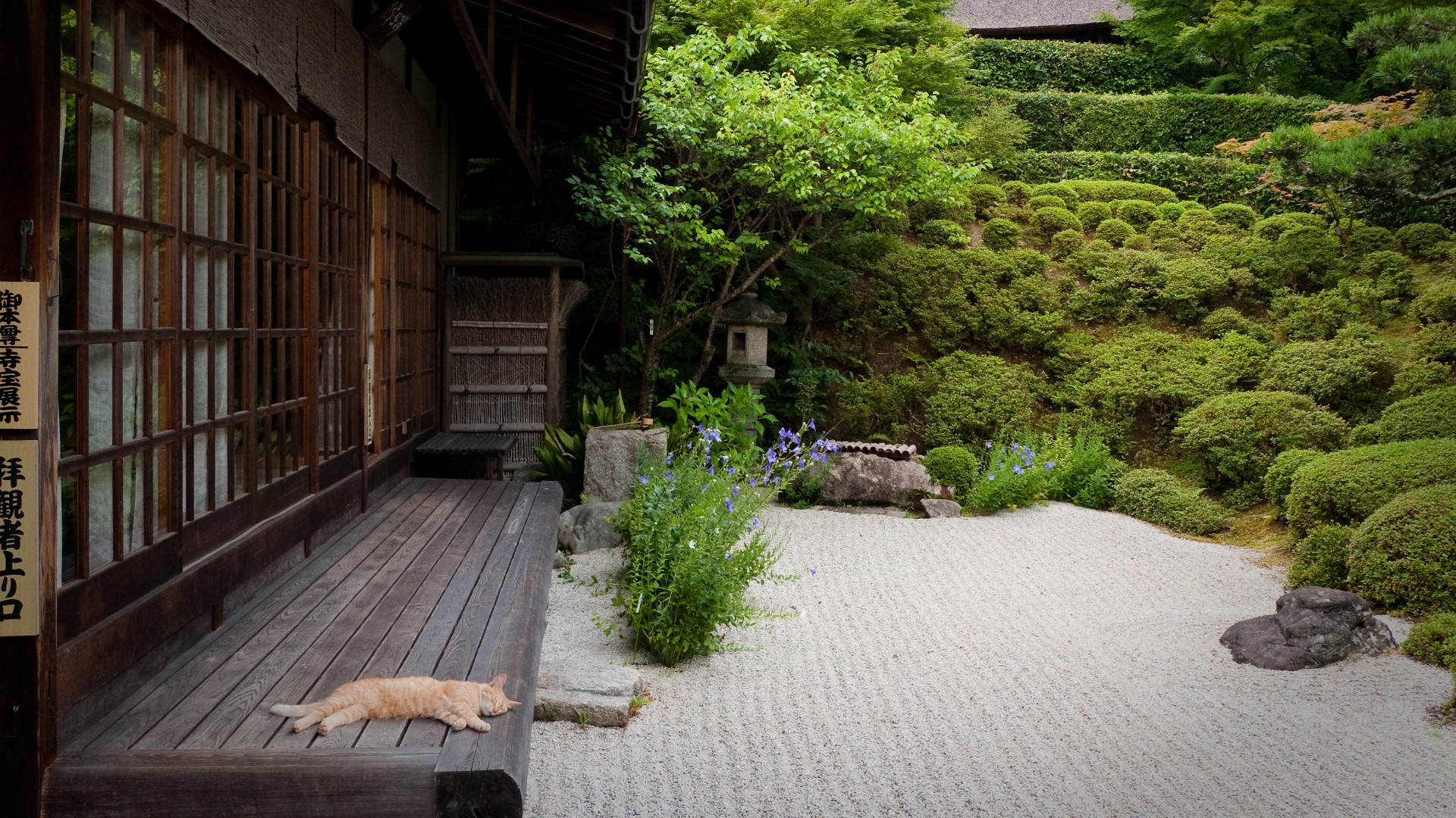 Japanese Zen , HD Wallpaper & Backgrounds