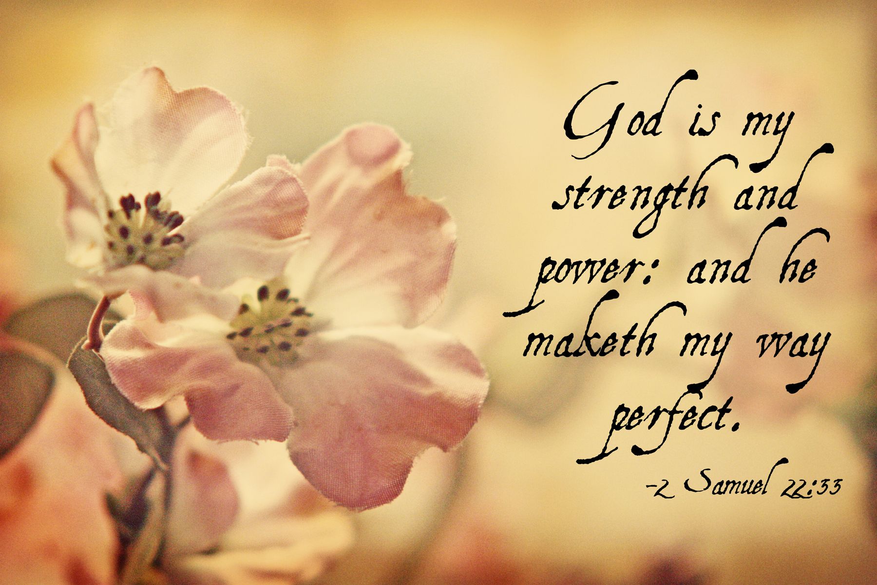 Wallpapers Bible Verses Group - Background With Bible Verses , HD Wallpaper & Backgrounds