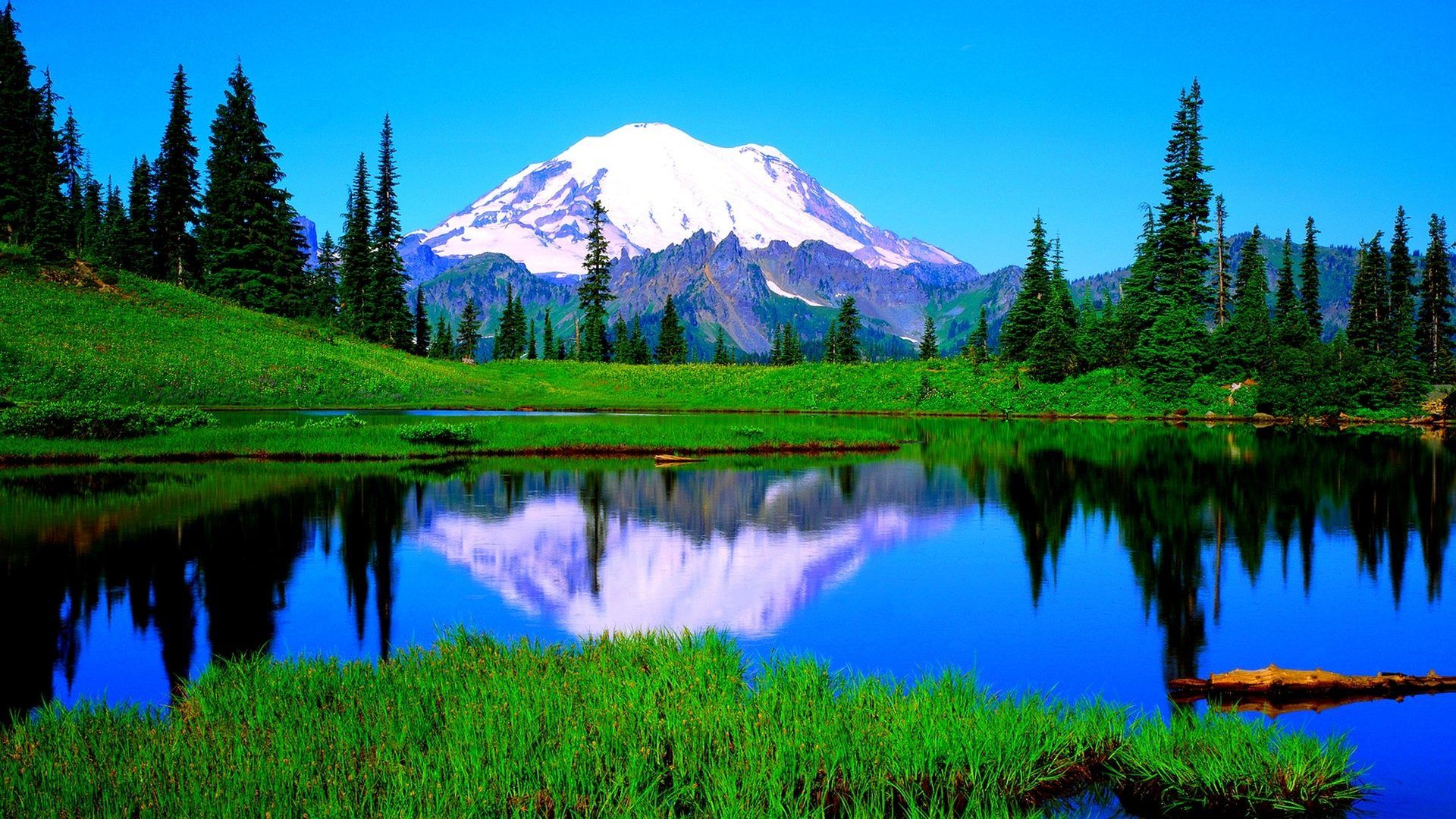 Beautiful Forest Lake Wetland Hd Desktop Wallpaper - Mount Rainier National Park, Sunrise Lake , HD Wallpaper & Backgrounds