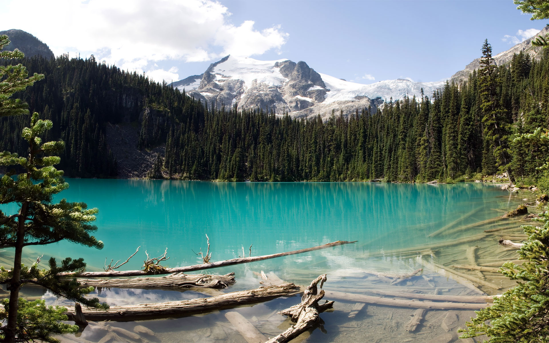 Floating Logs In Turquoise Mountain Lake Wallpaper - British Columbia Computer Background , HD Wallpaper & Backgrounds