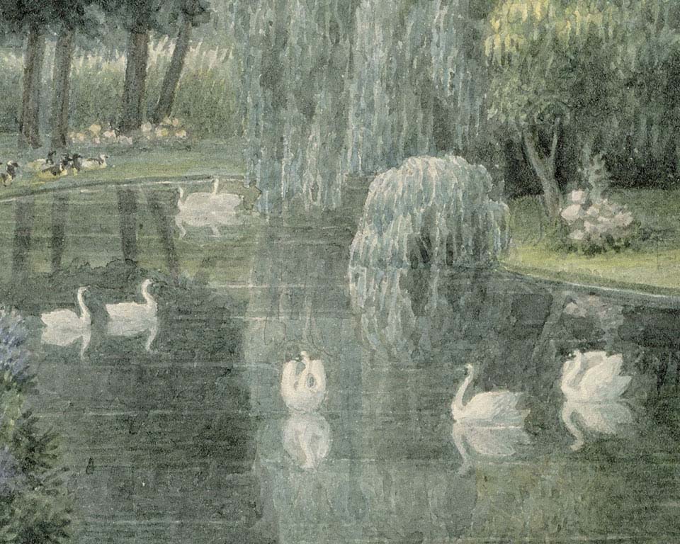 Swan Lake - Wallpaper Mural - Many Swans In Lake , HD Wallpaper & Backgrounds