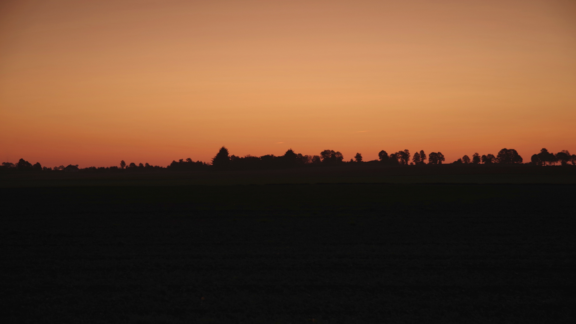 Wallpaper Dawn, Sunrise, Nature, Horizon, Sky, 5k - Evening , HD Wallpaper & Backgrounds