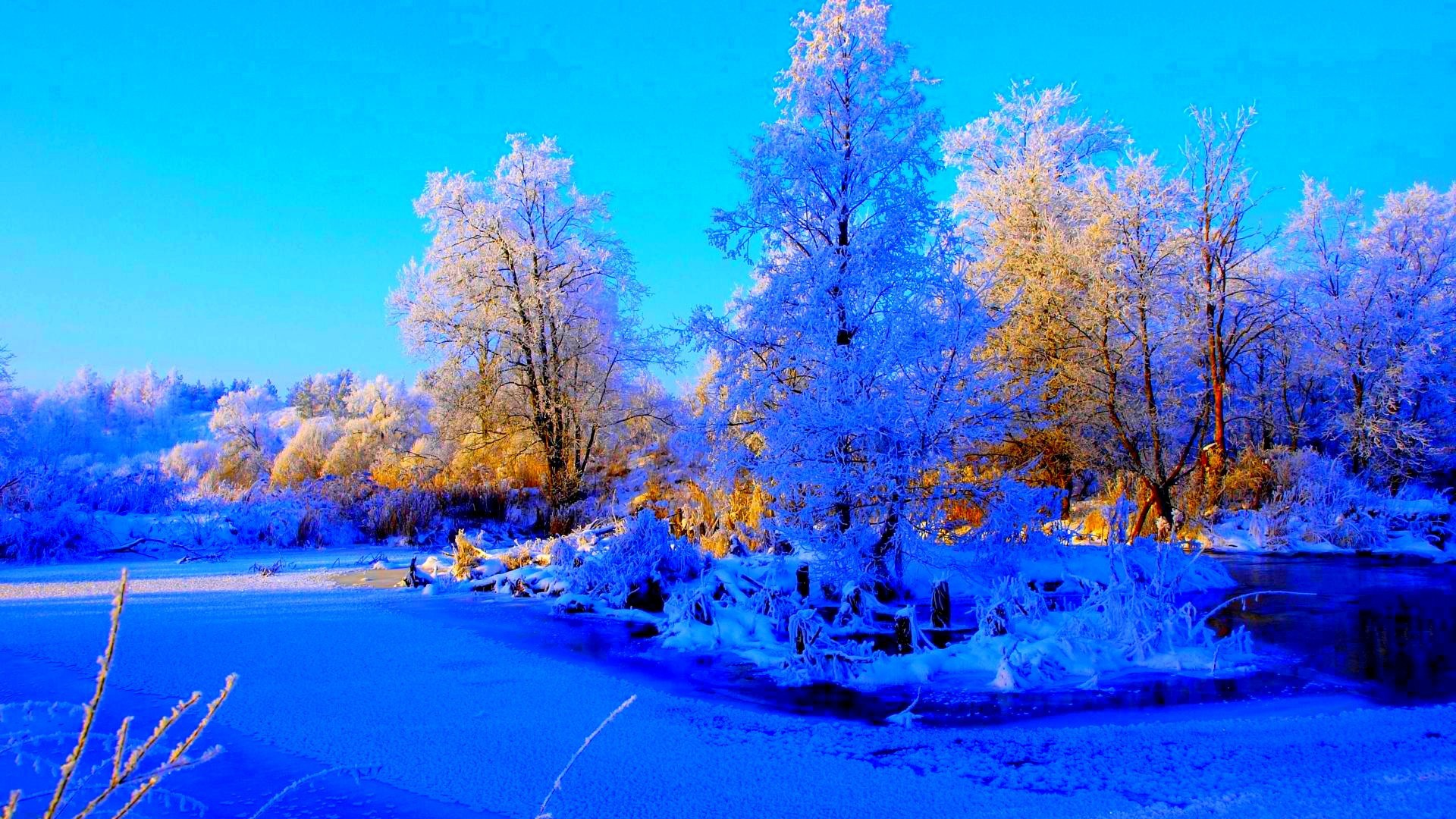 Winter Frozen Pond Blue Trees Sunrise Hd Mobile Wallpapers - Frozen Pond , HD Wallpaper & Backgrounds