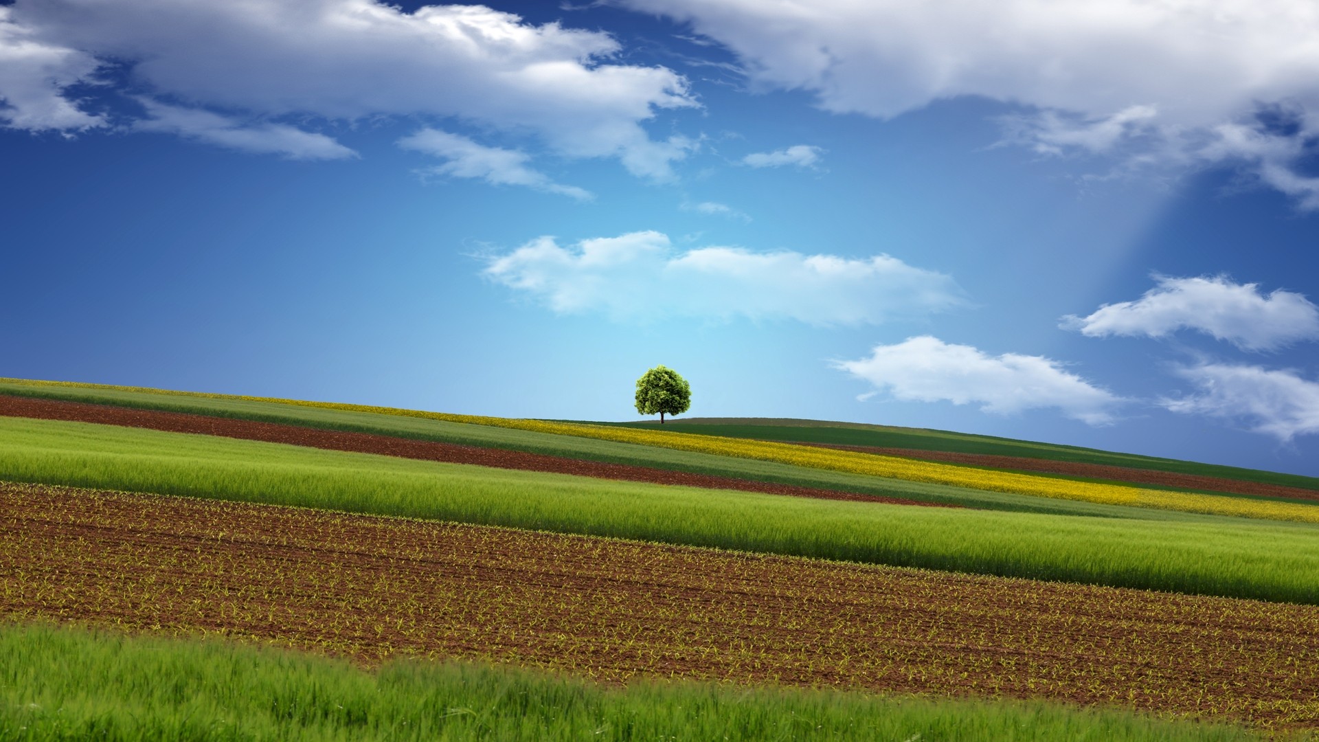 Seeing The Picture, You Have No Any Press For The Eye - Nice Fields , HD Wallpaper & Backgrounds