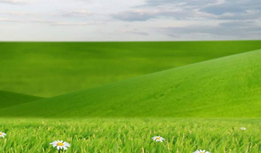 Green Eye Protection Landscape Iphone 6 Wallpaper - Field , HD Wallpaper & Backgrounds