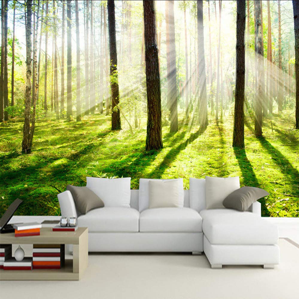 Custom 3d Photo Wallpaper Hd Sunshine Woods Forest - Living Room Background Hd , HD Wallpaper & Backgrounds