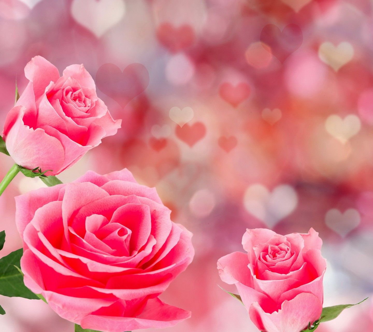 Flower Pink Hearts Roses Flowers Hd Wallpaper For Mobile - Hearts And Flowers Wallpaper For Mobile , HD Wallpaper & Backgrounds