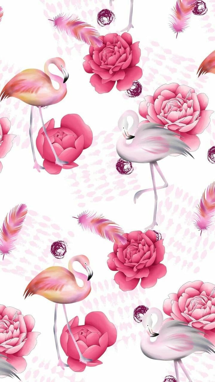Iphone Pink Wallpaper Whatsapp , HD Wallpaper & Backgrounds