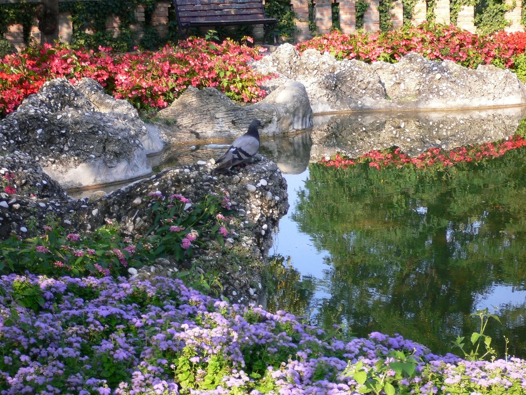 Love Point Wallpapers Flower Heart Flowers Garden Fountain - Viola , HD Wallpaper & Backgrounds