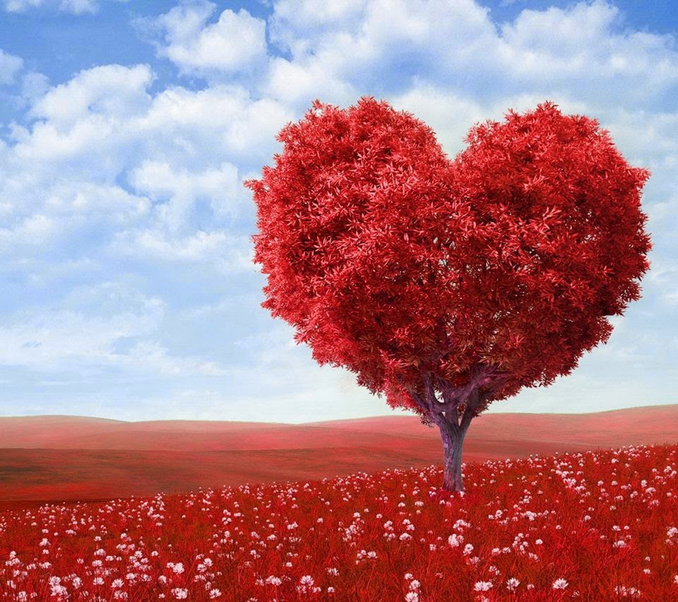 Collection Of Beautiful Heart Wallpapers On Hdwallpapers - Heart Tree , HD Wallpaper & Backgrounds