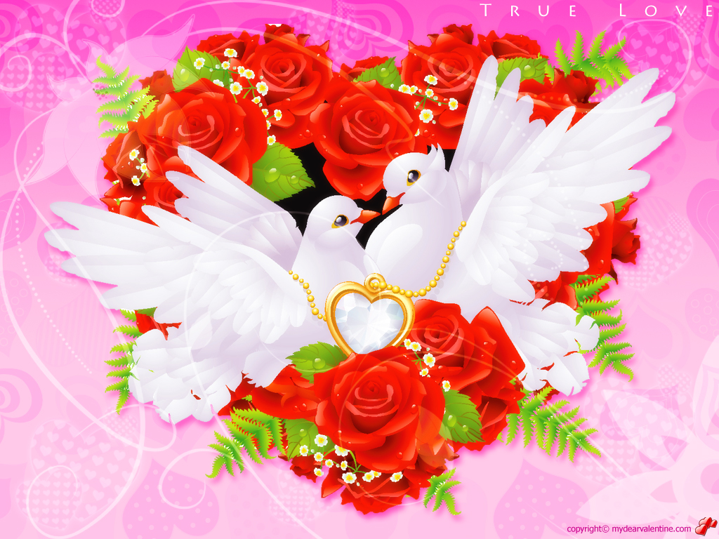 Hart - Love Birds With Rose , HD Wallpaper & Backgrounds