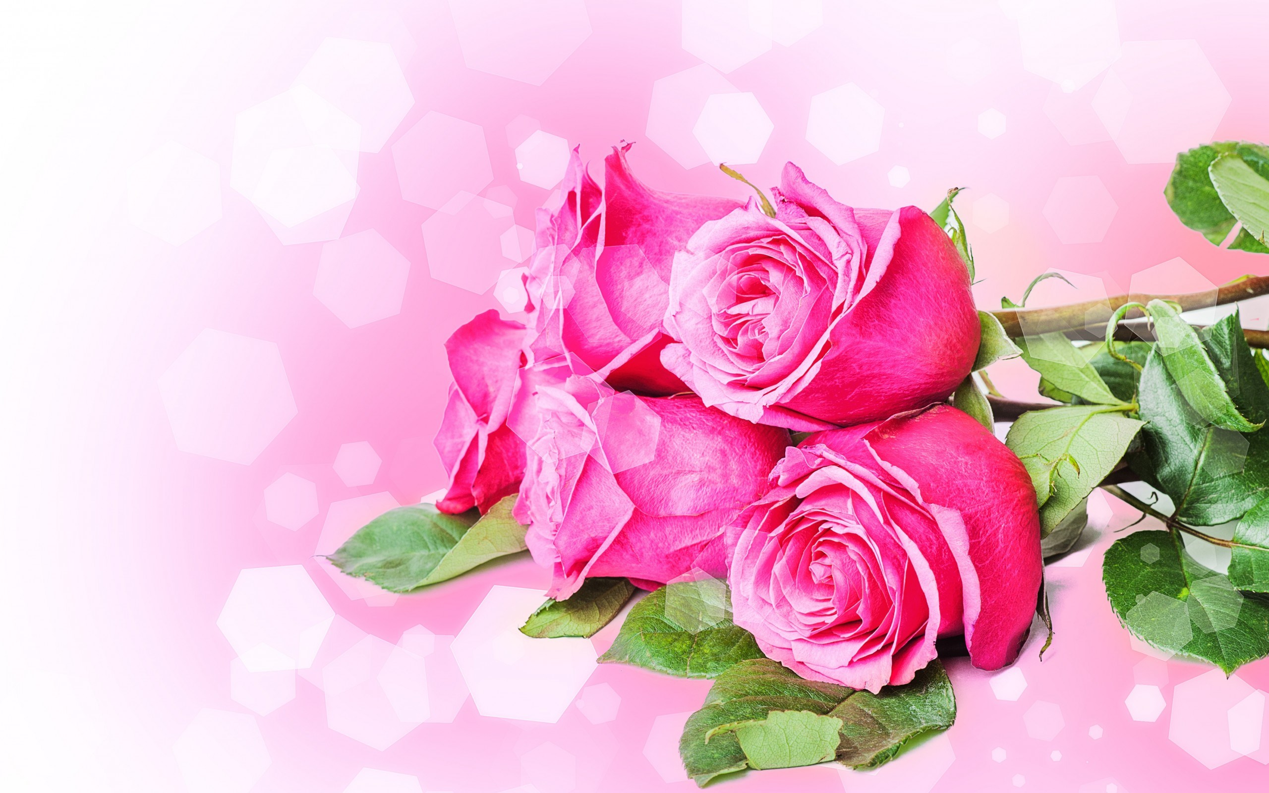 Rose Wallpaper Full Hd - Rose Greeting Card Hd , HD Wallpaper & Backgrounds