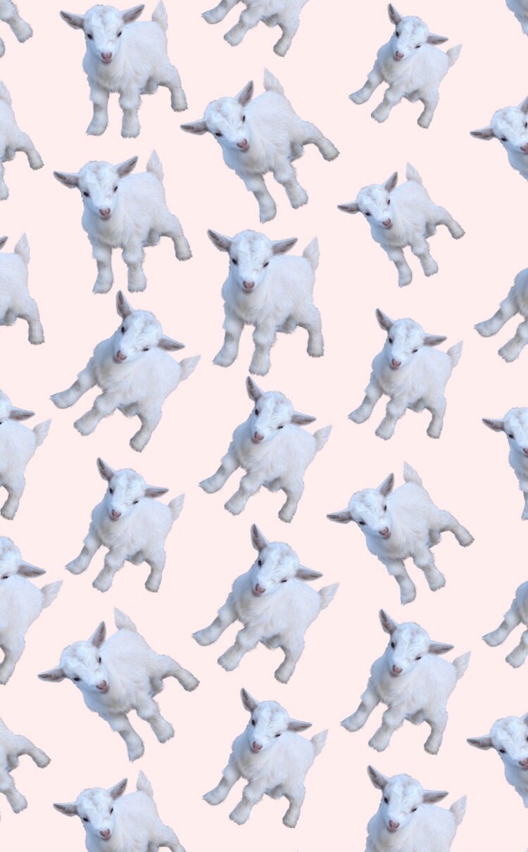 I Made A Pastel Goat Wallpaper For Mobile - Arctic , HD Wallpaper & Backgrounds