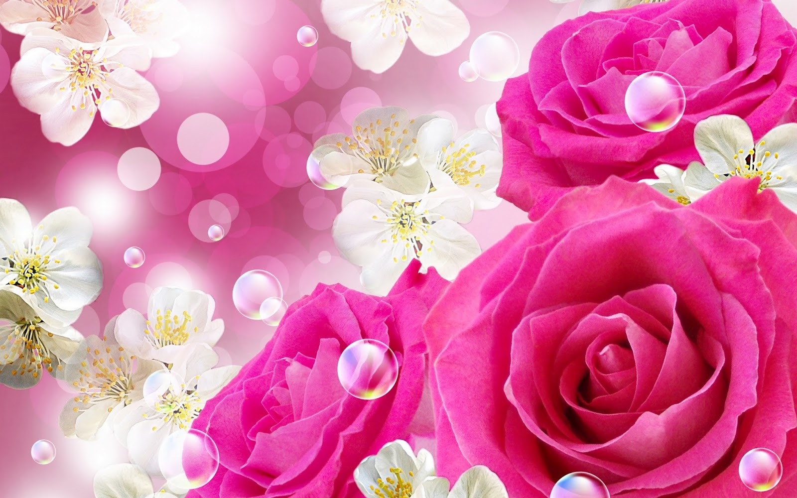 Beautiful Pink Roses For Desktop Wallpaper Full Hd - Beautiful Wallpaper In Roses , HD Wallpaper & Backgrounds