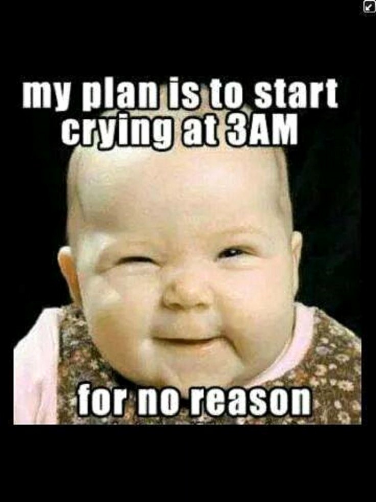 Funny Baby Wallpapers With Quotes Unique 50 Very Funny - One Month Old Baby Funny Quotes , HD Wallpaper & Backgrounds