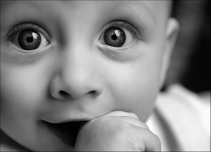 Funny Baby Photos By Martin Paul - Cute Baby , HD Wallpaper & Backgrounds