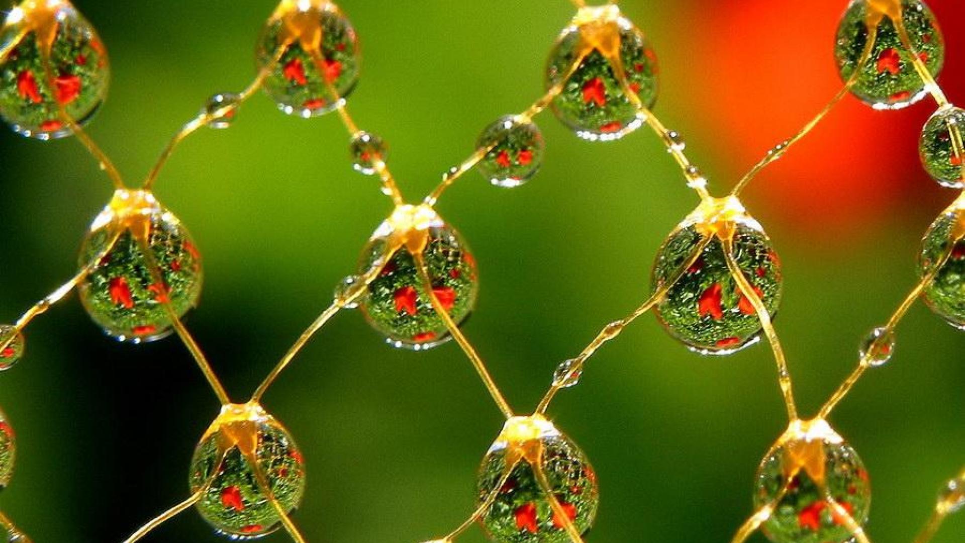 Beautiful Wallpapers Of Water Drops , HD Wallpaper & Backgrounds