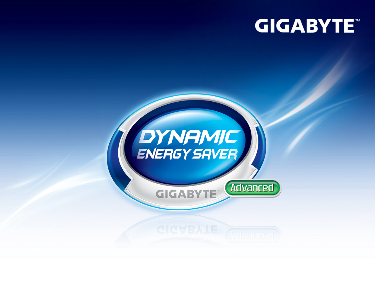 800 X 600 - Gigabyte , HD Wallpaper & Backgrounds