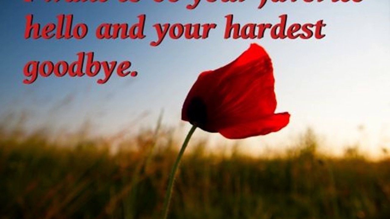 Goodbye Pictures, Images,wallpaper, Graphics, Photos, - Poppy , HD Wallpaper & Backgrounds