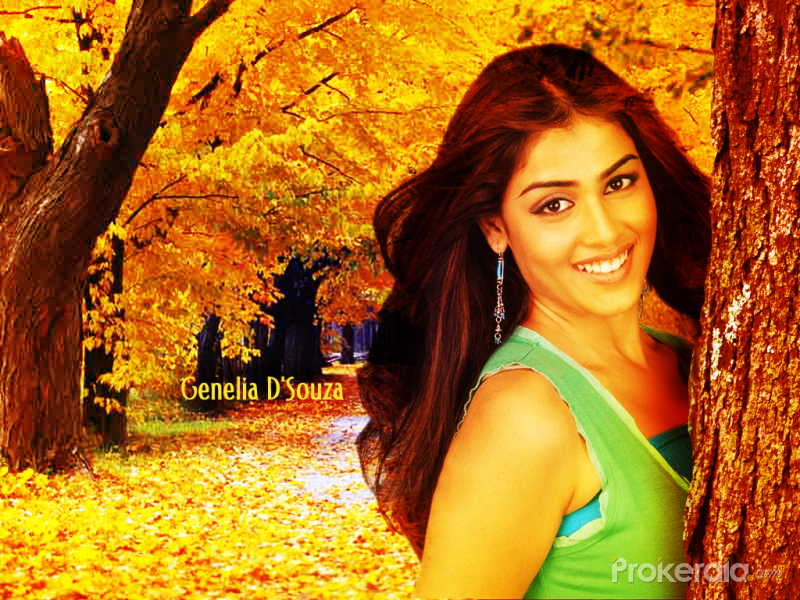 Genelia D'souza Wallpaper - Tuning Peugeot 406 Combi , HD Wallpaper & Backgrounds