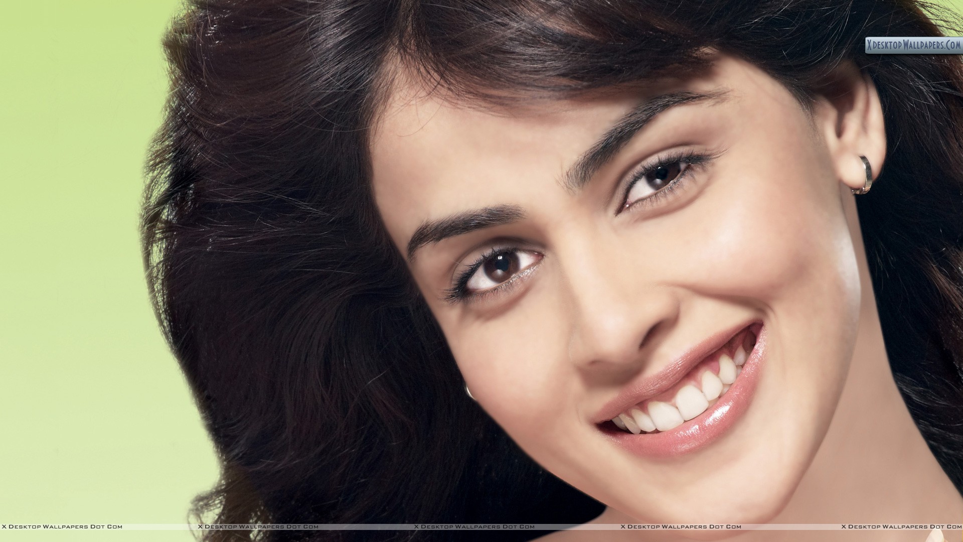 You Are Viewing Wallpaper Titled Genelia D'souza - Genelia D Souza Smile , HD Wallpaper & Backgrounds