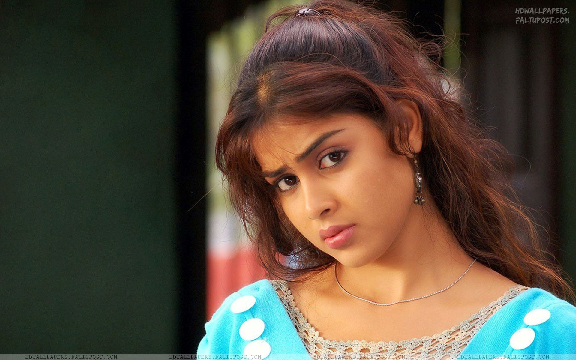 Genelia D'souza Hd Wallpapers - Jenelia D Souza , HD Wallpaper & Backgrounds