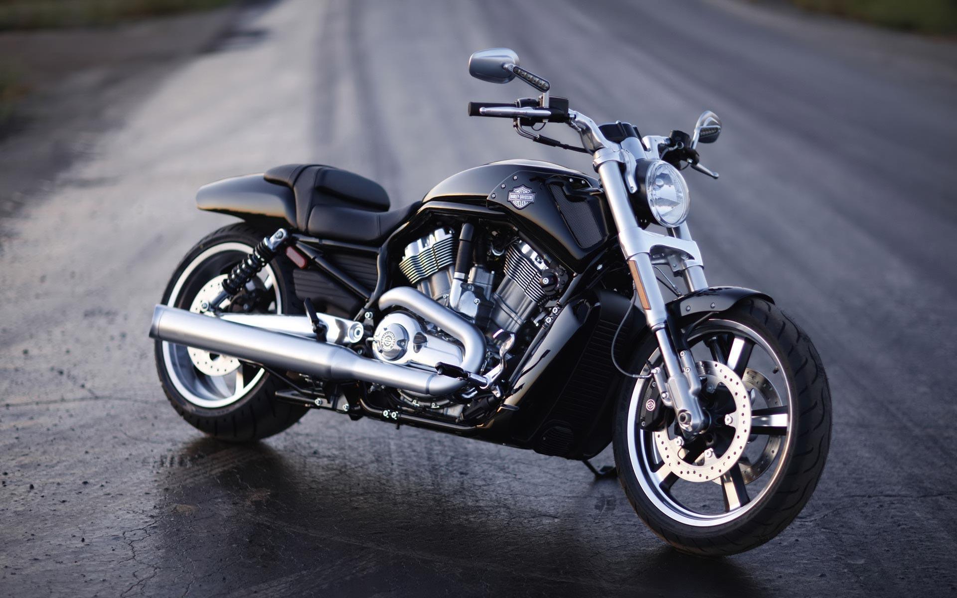 Harley Davidson Bikes Wallpapers - Harley Davidson V Rod Muscle 2014 , HD Wallpaper & Backgrounds