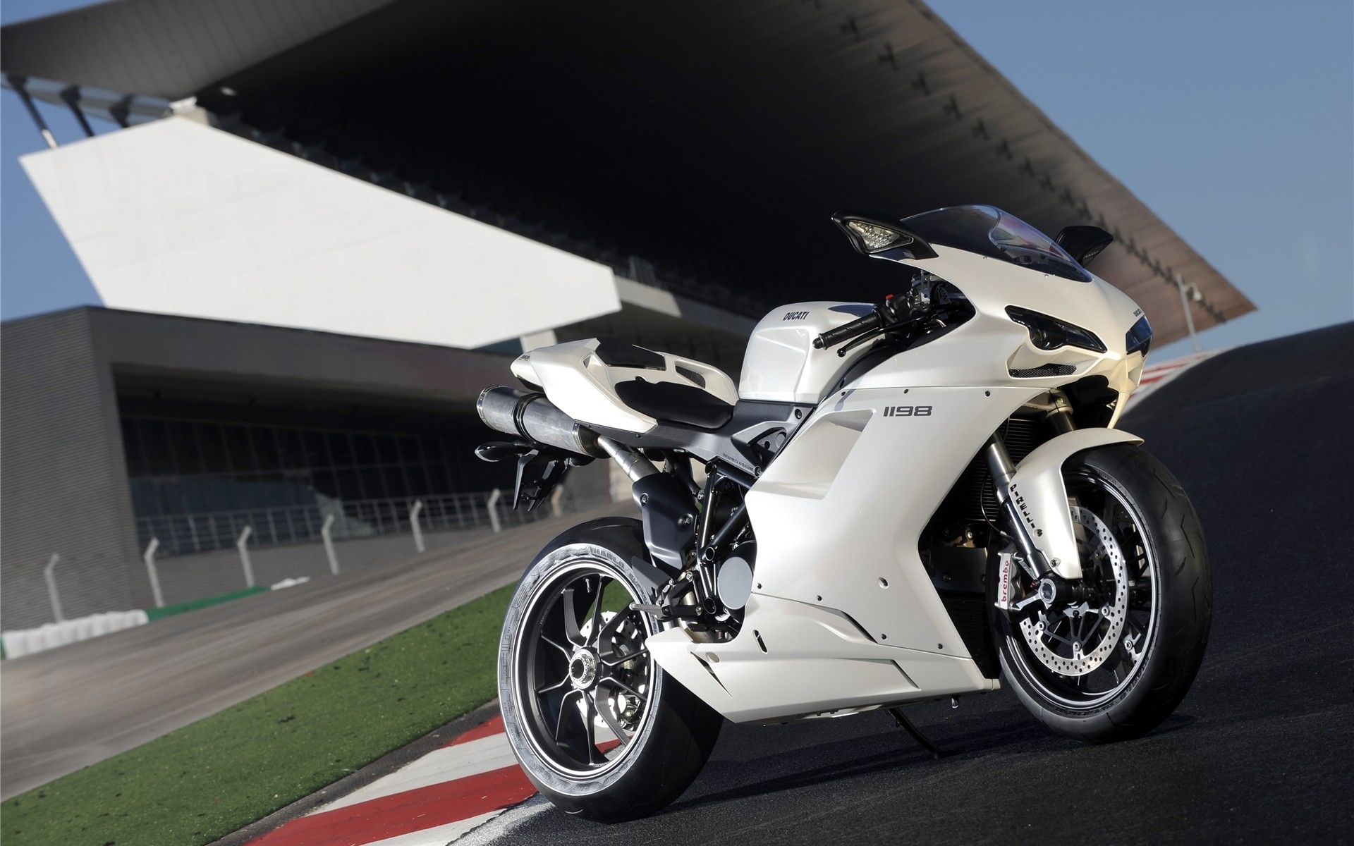 Photo Collection 250 300 Wallpaper Amp Amp - Ducati 1199 Panigale R White , HD Wallpaper & Backgrounds