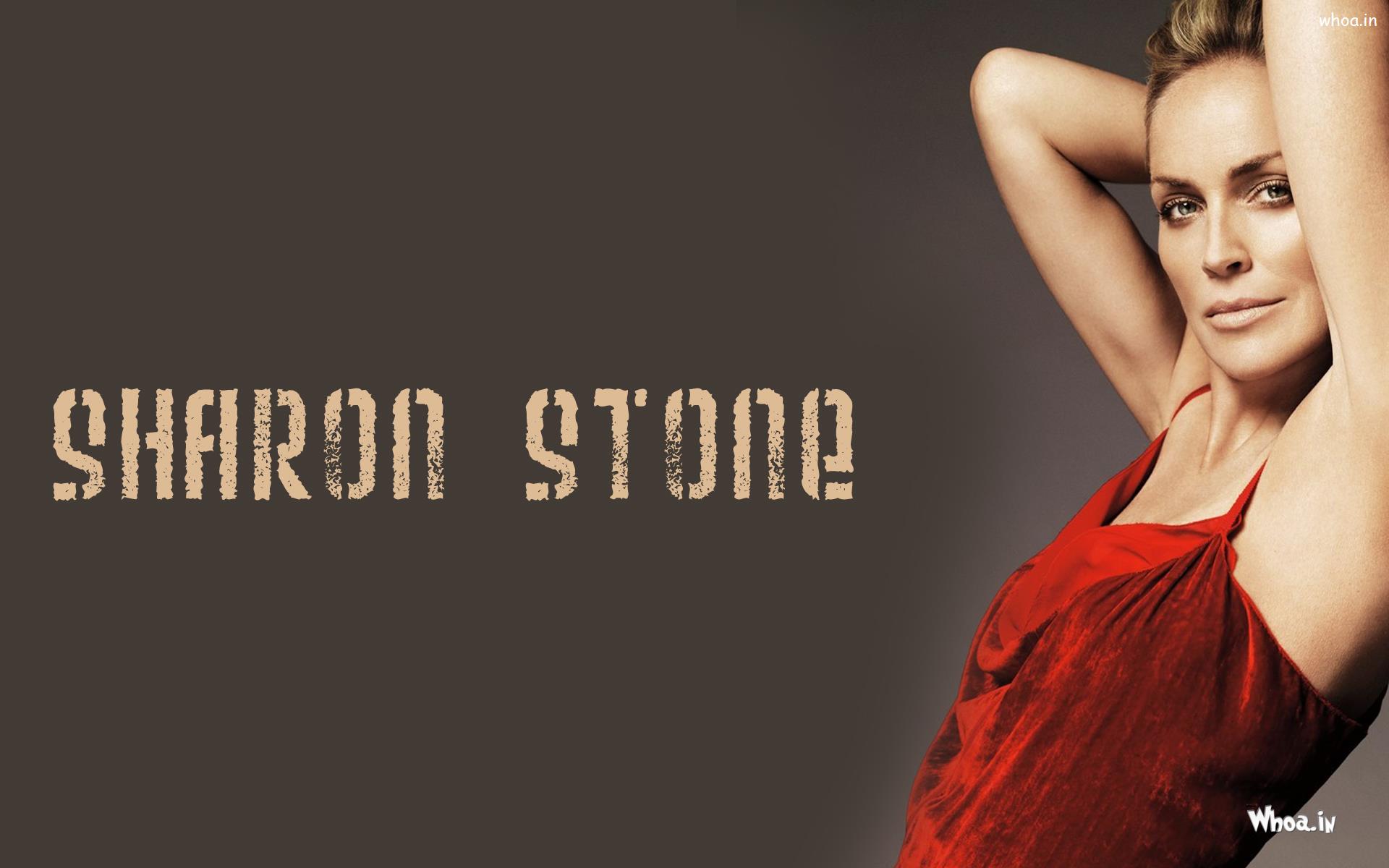 Download - Sharon Stone Hot , HD Wallpaper & Backgrounds