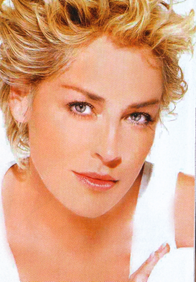 Sharon Stone Images Sharon Stone Hd Wallpaper And Background - Sharon Stone Headshots , HD Wallpaper & Backgrounds
