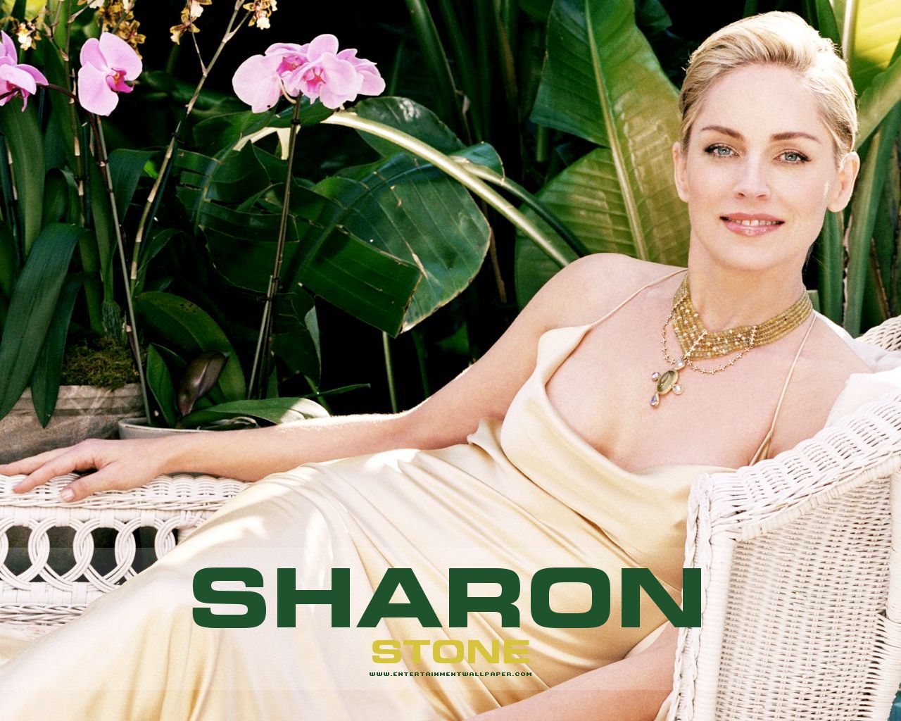 Sharon Stone Wallpaper - Search Of Sunrise 9 India , HD Wallpaper & Backgrounds