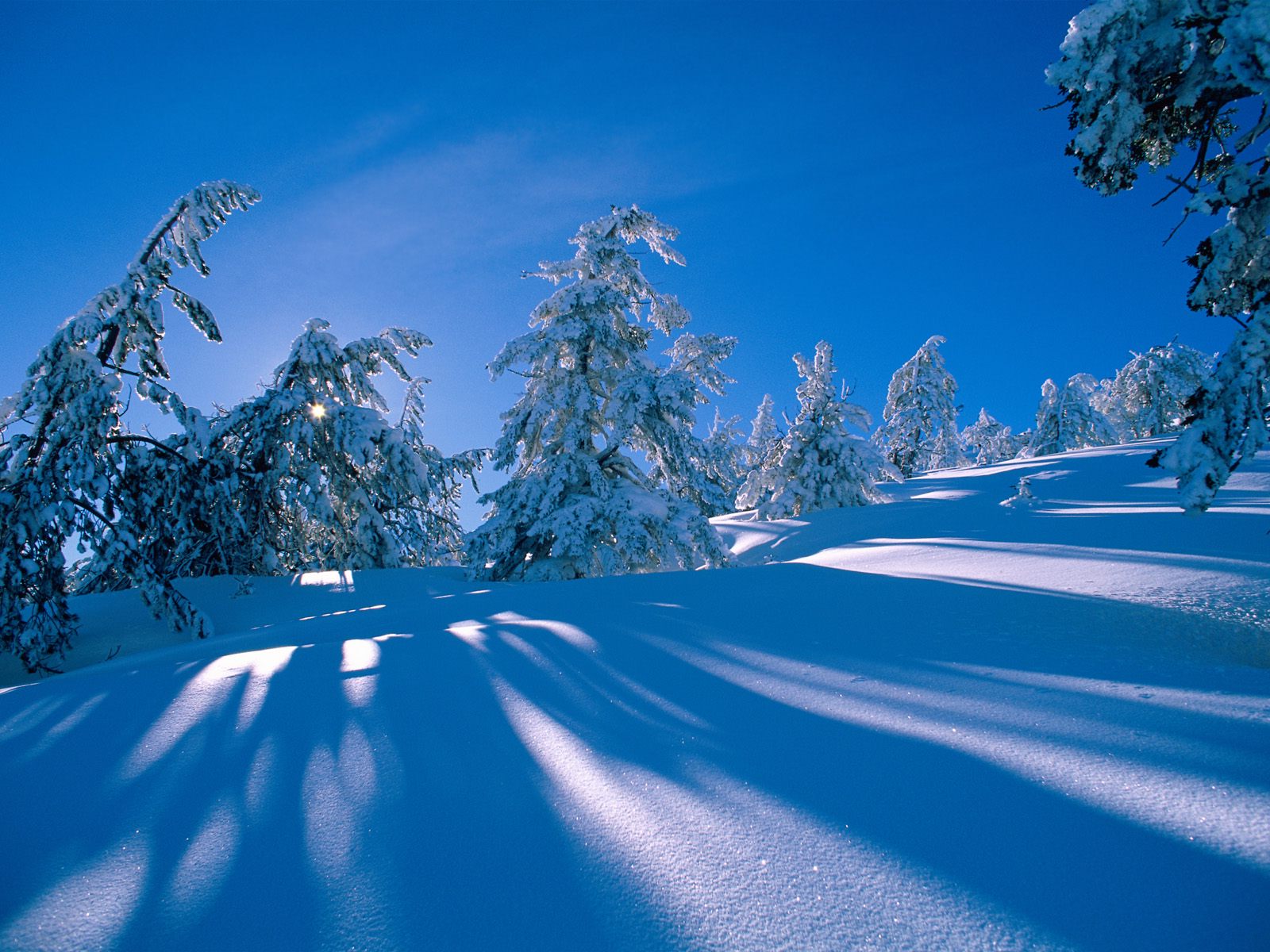 Mooie Sneeuw Achtergronden Leuke Hd Sneeuw Wallpapers - Achtergrond Sneeuwlandschap , HD Wallpaper & Backgrounds