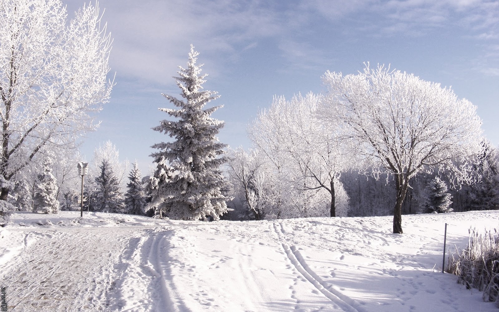 Mooie Sneeuw Achtergronden Leuke Hd Sneeuw Wallpapers - Estaciones Del Año Invierno , HD Wallpaper & Backgrounds