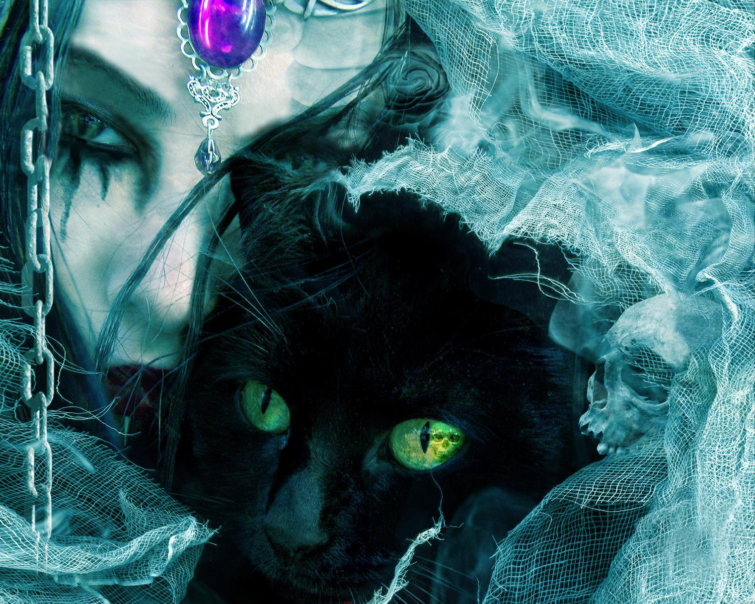 Mooie Horror Achtergronden Hd Horror Wallpapers Afbeelding - Black Cat , HD Wallpaper & Backgrounds