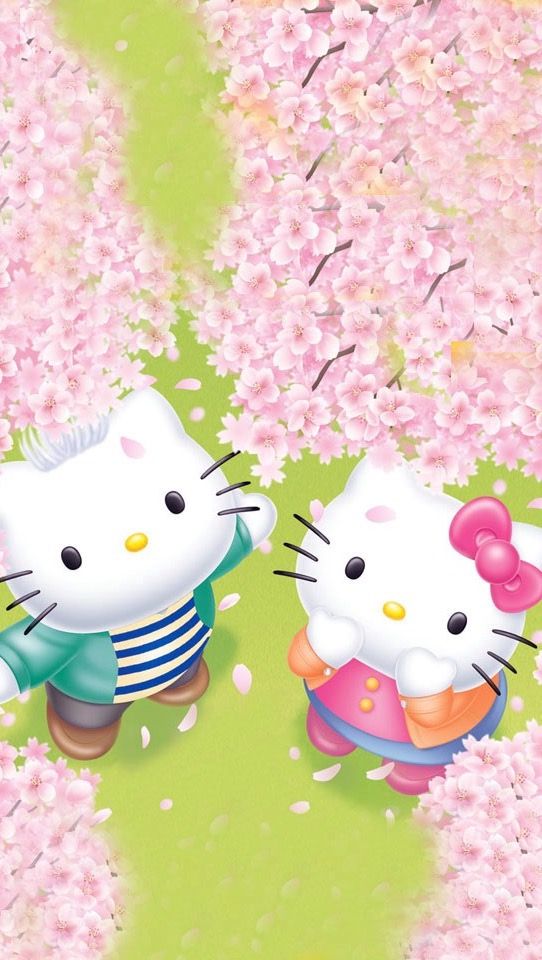 Hello Kitty Wallpaper, Sanrio Wallpaper, 3d Wallpaper, - Hello Kitty And Daniel , HD Wallpaper & Backgrounds