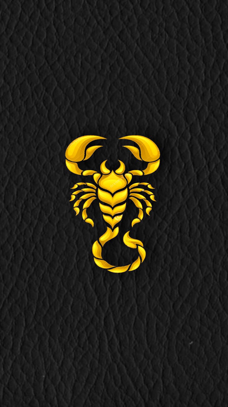 Scorpions Wallpapers High Resolution - Обои На Телефон Скорпион , HD Wallpaper & Backgrounds
