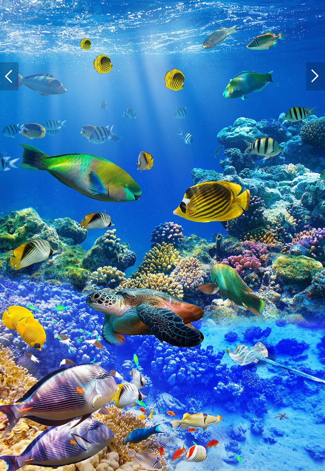 3d Room Wallpaper Custom Mural Non Woven 3 D Beautiful - Beautiful Sea World , HD Wallpaper & Backgrounds