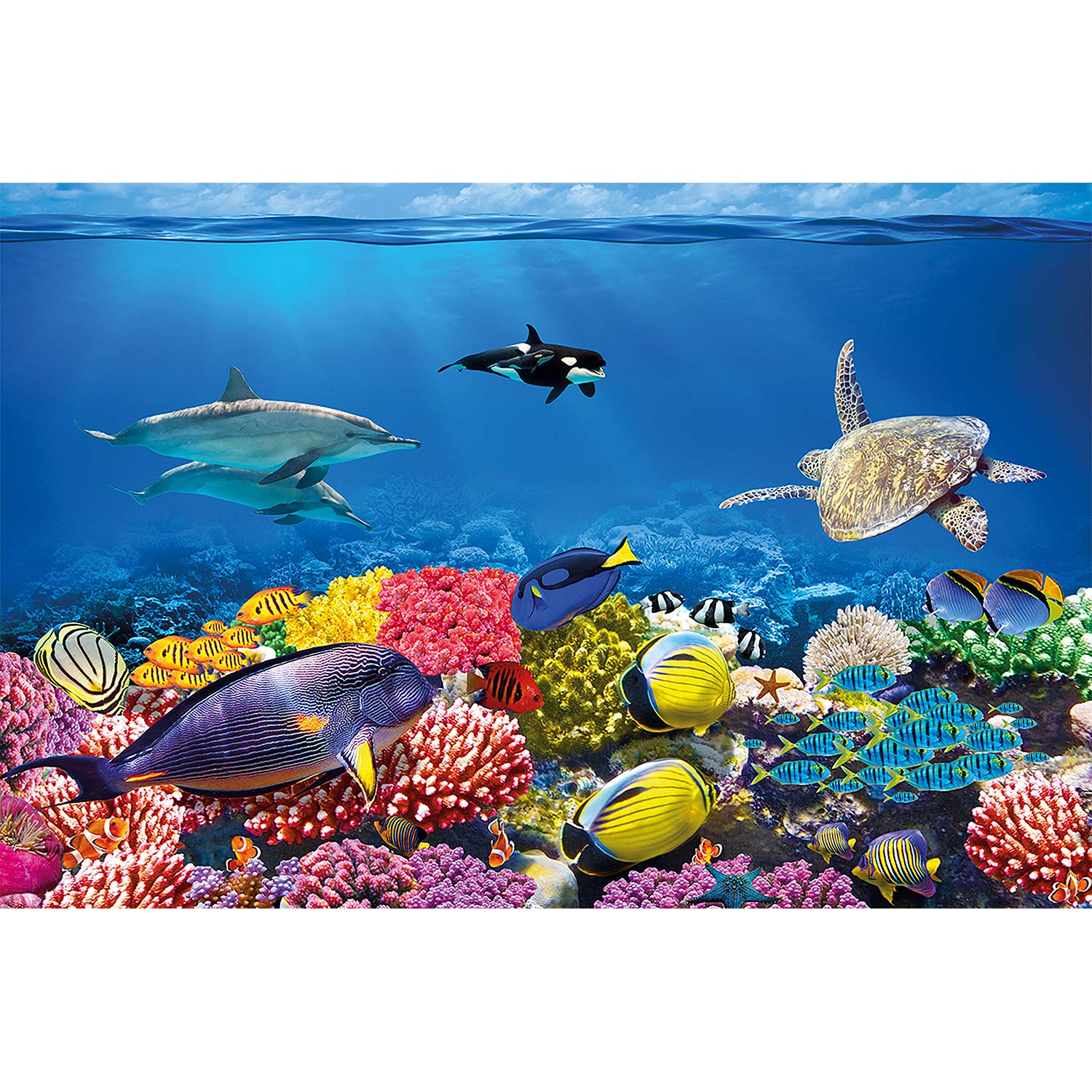 Great Art Wall Mural Aquarium Decoration Colourful - Coral Reef Oil Painting , HD Wallpaper & Backgrounds