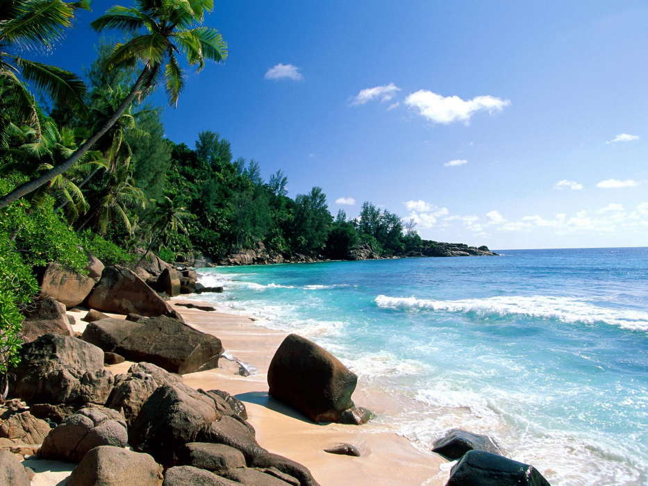 Download Mobile Wallpaper Landscape, Water, Sea, Beach, - Puerto Rico Tropical , HD Wallpaper & Backgrounds