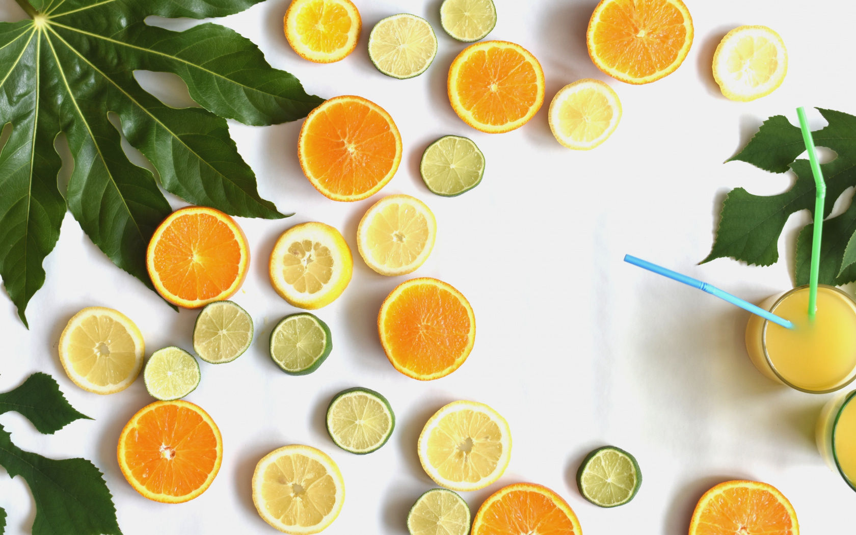 Fruits, Slices, Lemon And Oranges, Wallpaper - Lemon Slice Wallpaper Iphone , HD Wallpaper & Backgrounds