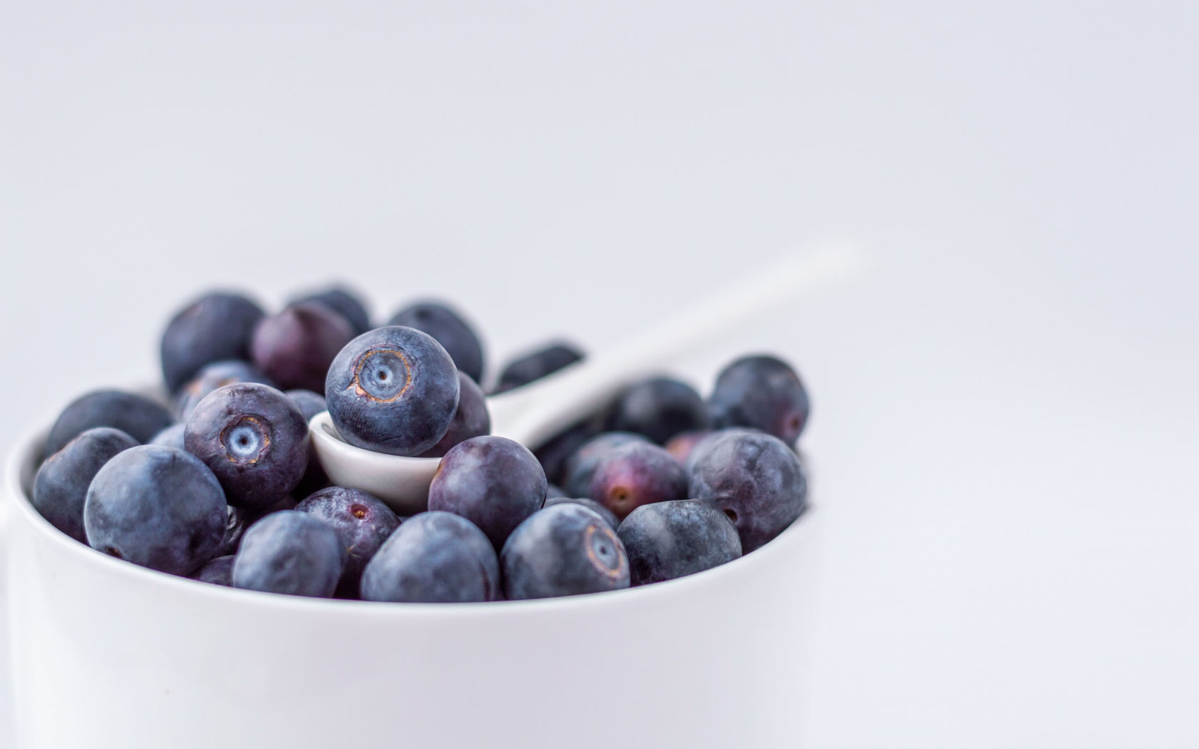 Wallpaper Blueberry, Blue Fruits - Bilberry , HD Wallpaper & Backgrounds