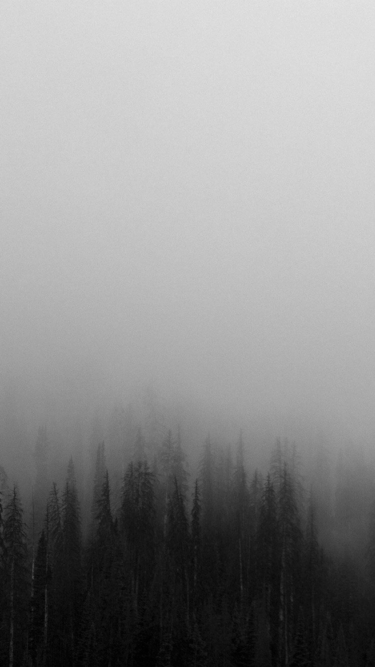 Fog Minimal Mountain Wood Nature Wallpaper Hd Iphone - Minimal Nature Wallpaper Phone , HD Wallpaper & Backgrounds