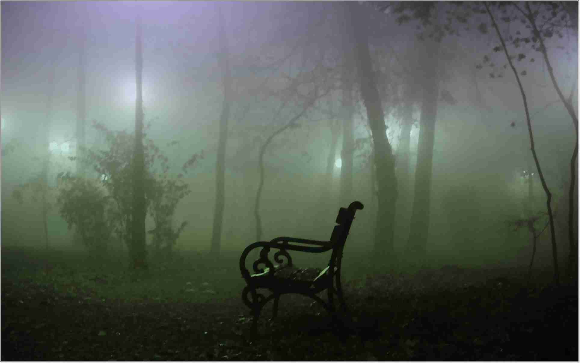 Fog Background Hd - Spooky Park At Night , HD Wallpaper & Backgrounds