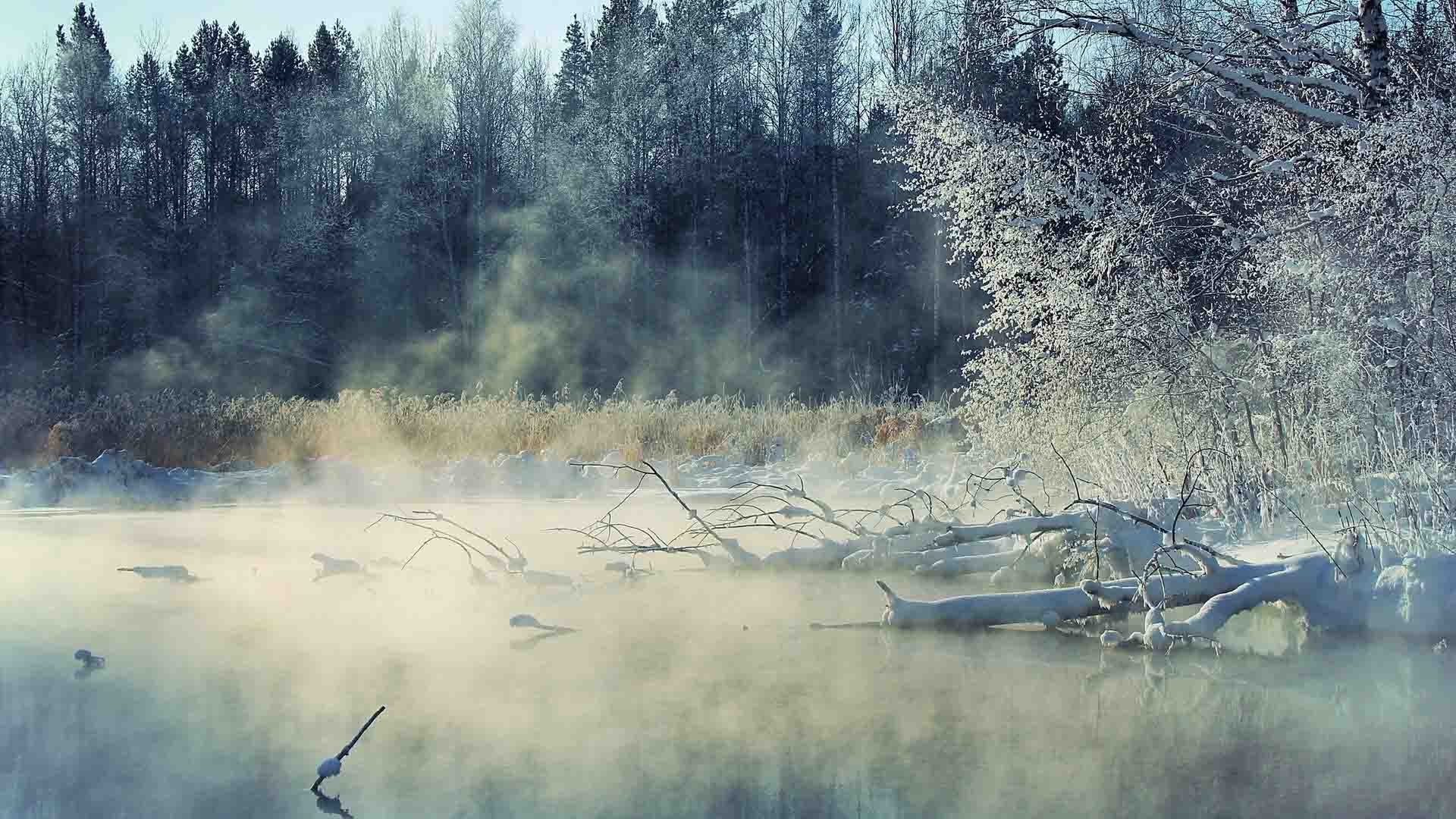 Foggy Lake View - Foggy Winter Forest , HD Wallpaper & Backgrounds