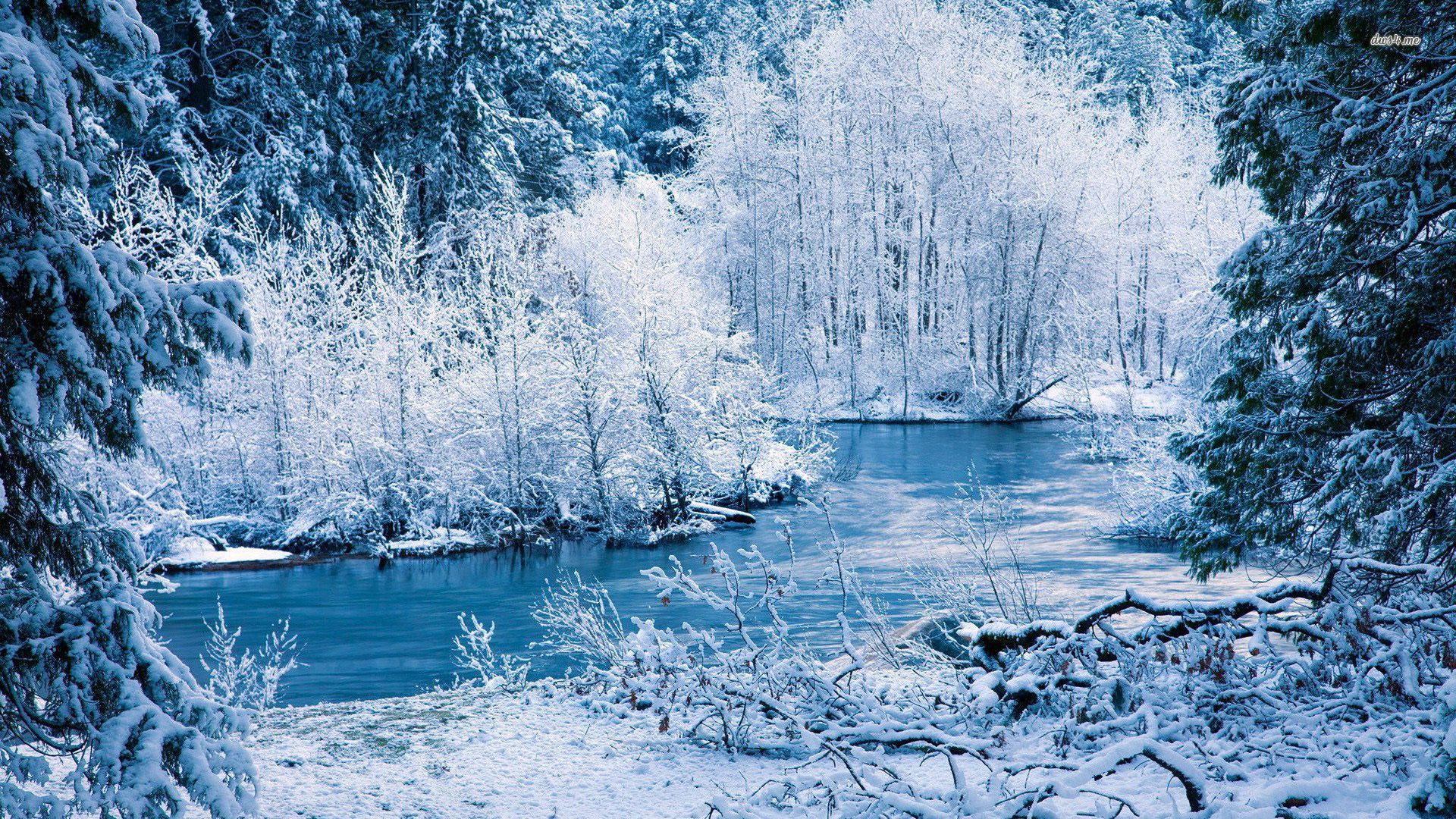 River In The Winter Forest Wallpaper - Forest In The Winter , HD Wallpaper & Backgrounds