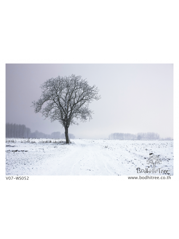 White Scenery Blinds Or Fabric - Albert Camus Quotes In The Depth Of Winter , HD Wallpaper & Backgrounds