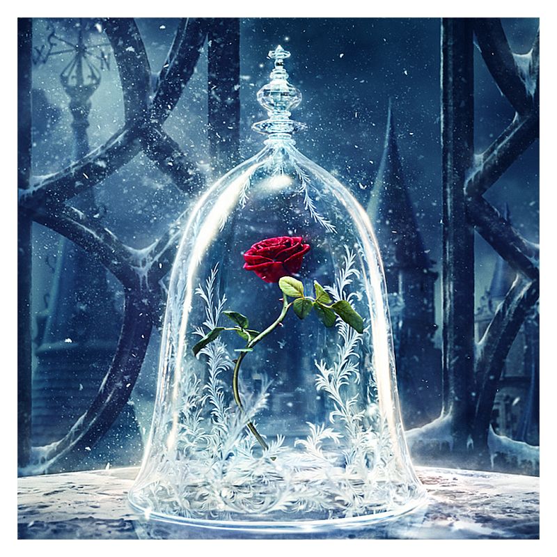 Beauty And The Beast Rose Wallpaper - Beauty And The Beast Rose Movie , HD Wallpaper & Backgrounds