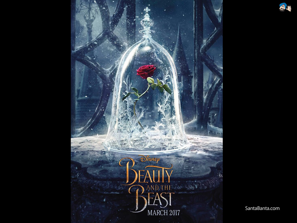 Beauty And The Beast - Beauty And The Beast Rosa , HD Wallpaper & Backgrounds
